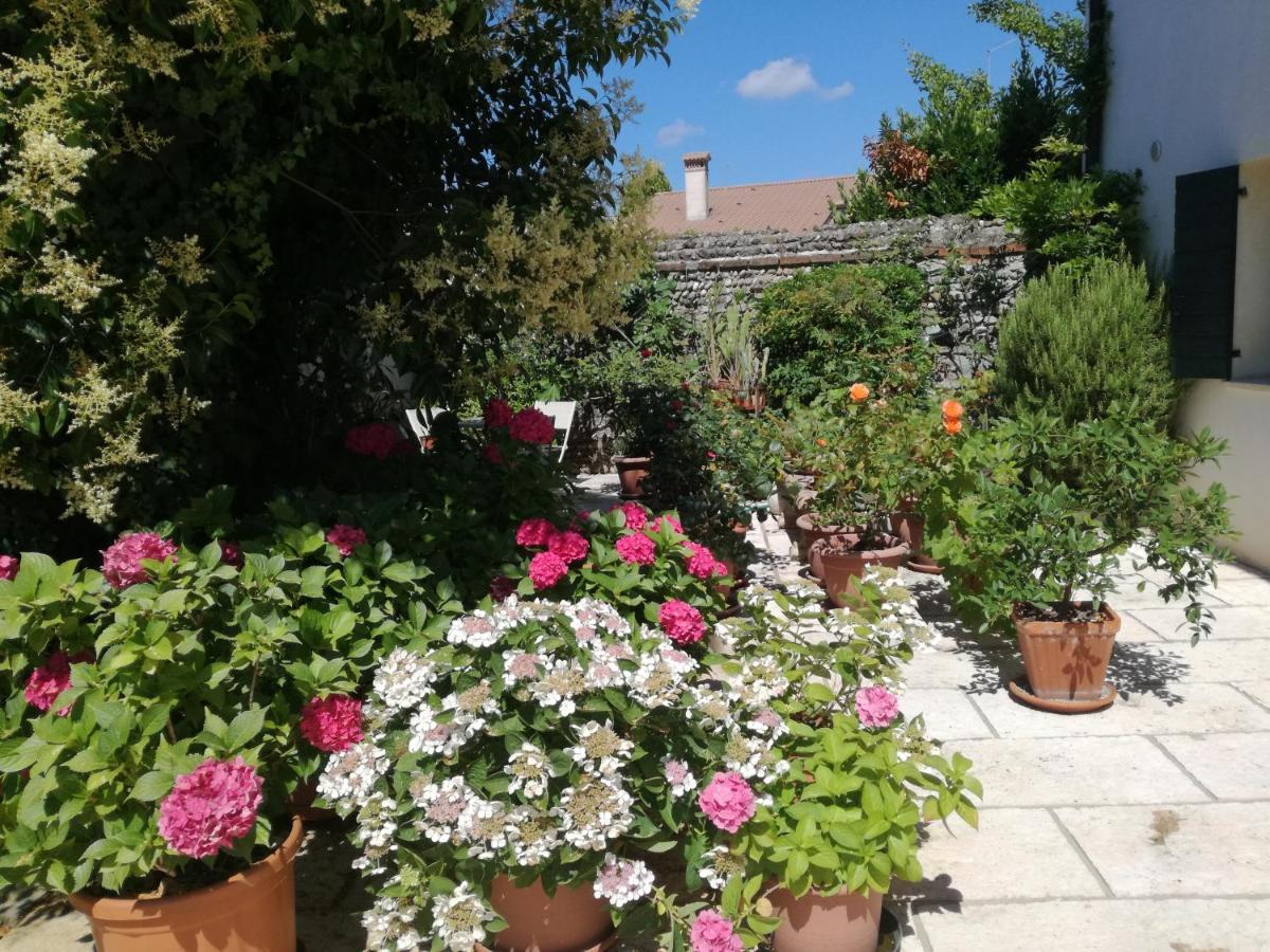 B&B Le Ortensie Castagnole Bagian luar foto